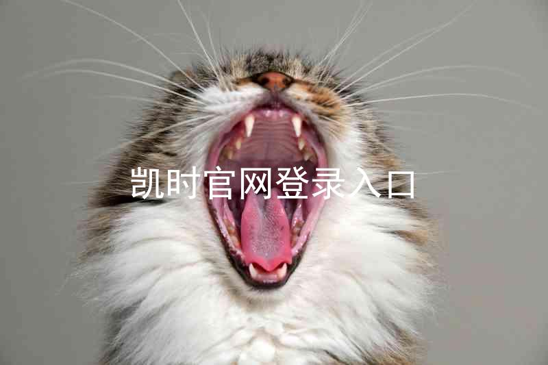 凯时官网登录入口